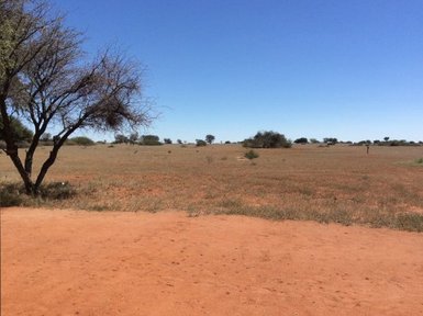 Weite Landschaft mit vereinzelten Bäumen in der Kalahari – Sri Lanka Reise mit Kindern