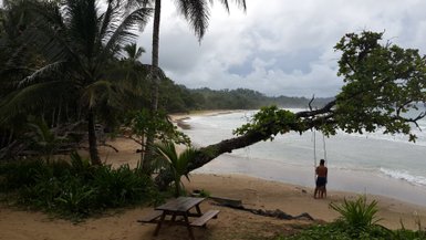 Ein ruhiger Strand mit sanften Wellen, umgeben von Palmen und üppigem Grün, während zwei Personen auf einer Schaukel stehen.