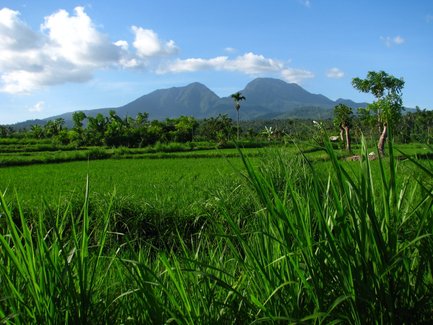 Üppige, grüne Landschaft bei Amed – Bali Reise mit Kindern