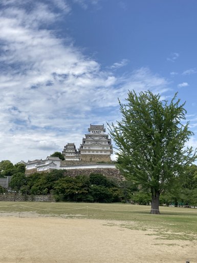 Ein majestätisches Schloss thront auf einem Hügel, umgeben von üppigem Grün und einem strahlend blauen Himmel.