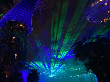 Funkelnd beleuchtete Supertrees im Supertree Grove – Singapur mit Kindern