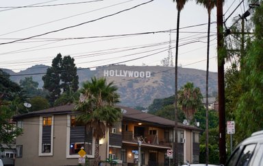 Der berühmte Hollywood-Schriftzug thront majestätisch über einem Wohnviertel mit Palmen und Stromleitungen.