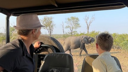 Mutter und Sohn sitzen im Safari-Jeep und beobachten gemeinsam Tiere in der Savanne – Südafrika Familienreise