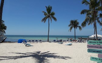Ein sonniger Strand mit weißen Sandflächen, Liegen und Palmen, die sanft im Wind wiegen, während das Wasser glitzert.