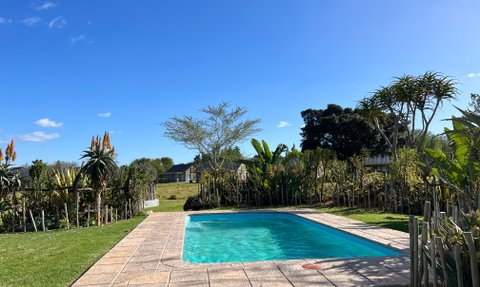 Ein klarer Pool umgeben von üppigem Grün und bunten Pflanzen unter einem strahlend blauen Himmel.