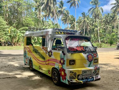 Ein bunt dekorierter Jeepney steht auf einer Straße, umgeben von hohen Palmen und strahlend blauem Himmel.