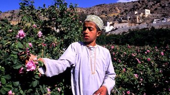 Junger omanischer Farmer auf einem Feld im Oman – Oman Familienreise