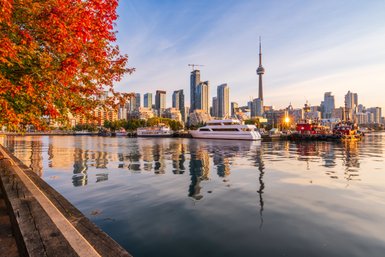 Ein malerischer Blick auf den Toronto-Hafen, umgeben von leuchtend roten Herbstblättern und modernen Wolkenkratzern.