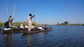 Eine Gruppe von Menschen paddelt in traditionellen Booten auf einem ruhigen Gewässer, umgeben von üppigem Schilf und klarem Himmel.