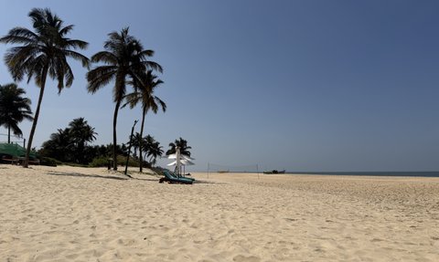 Ein ruhiger Strand in Goa mit feinem, hellem Sand und hohen Palmen, die sanft im Wind wiegen.