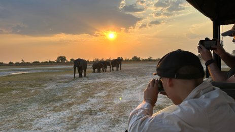 Eine Gruppe von Elefanten wandert majestätisch in der Abenddämmerung, während Touristen sie aus einem Jeep beobachten.