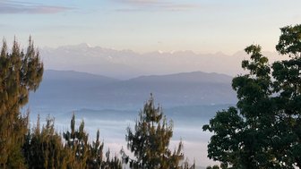 Die majestätischen Himalaya-Berge erheben sich über eine neblige Landschaft, umgeben von grünen Bäumen im Vordergrund.