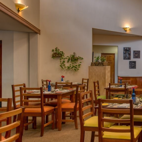 Ein einladendes Restaurant mit Holztischen und bunten Stühlen, dekoriert mit Pflanzen und sanfter Beleuchtung.