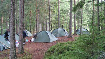 In einem dichten Wald stehen mehrere Zelte, während Menschen mit Campingutensilien beschäftigt sind.