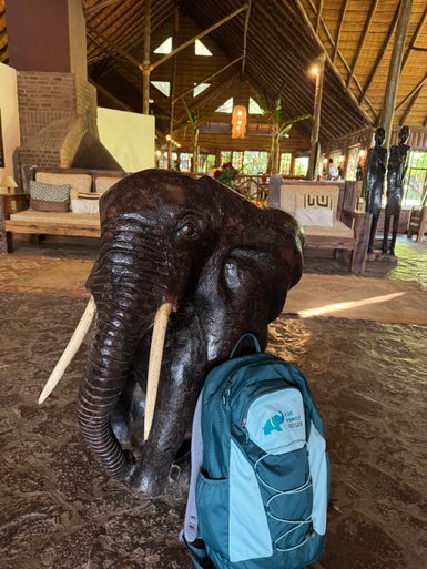 Dekorative Elefantenfigur in der Gartenanlage der Arumeru River Lodge – Tansania Familienreise