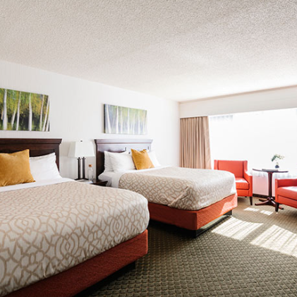 Ein helles Hotelzimmer mit zwei großen Betten, einem gemütlichen Teppich und modernen Möbeln, die eine einladende Atmosphäre schaffen.