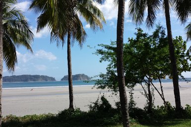 Grünes Blätterdach mit Bäumen und Palmen am Strand von Sámara – Costa Rica Reise mit Kindern