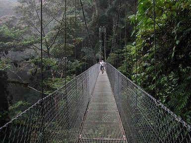 Spaziergang über eine Hängebrücke im Regenwald von La Fortuna – Costa Rica Familienreise