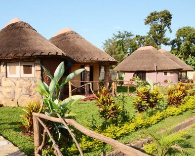 Drei traditionelle Hütten mit Strohdächern stehen in einem gepflegten Garten, umgeben von bunten Pflanzen und Bäumen.
