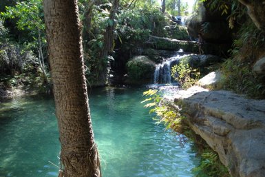Ein klarer Naturpool umgeben von üppigem Grün und sanften Wasserfällen, die in das ruhige Wasser plätschern.
