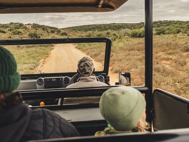 Familie im Jeep bei einer Safari im Addo - Südafrika mit Kindern
