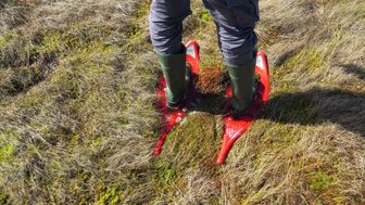 Eine Person steht in einem Moor, trägt grüne Gummistiefel und rote Moorschuhe, um durch das nasse Gelände zu navigieren.
