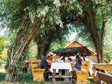 Eine Gruppe von fünf Personen sitzt an einem Holztisch unter einem schattigen Baum und genießt ein gemeinsames Essen.