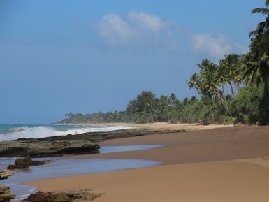 Strandabschnitt mit Palmen und Felsen vor dem Mirissa Beach Inn – Sri Lanka Reise mit Kindern