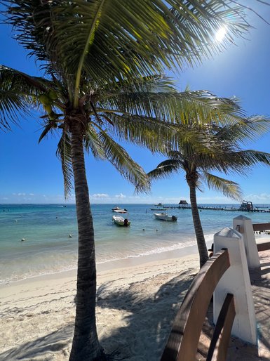 Breiter Sandstrand mit ruhigem Wellengang und Palmen – Mexiko Reise mit Kindern