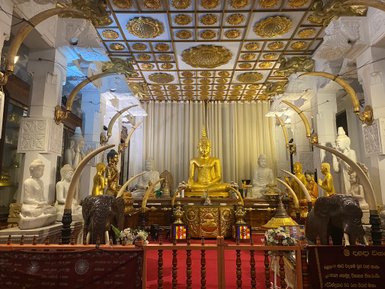 Mehrere goldene Buddha-Statuen im Zahntempel von Kandy – Sri Lanka Reise mit Kindern