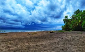 Tropischer Strand mit Palmen im Tortuguero Nationalpark – Costa Rica Familienreise