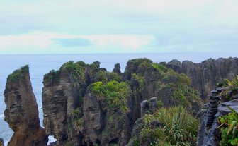 Die beeindruckenden Pancake Rocks in Punakaiki erheben sich majestätisch über dem ruhigen Ozean, umgeben von üppigem Grün.