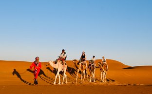 Familie zieht gemeinsam mit einer Kamelkarawane durch die Wüstenlandschaft der Sahara – Familienreise nach Marokko