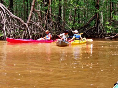 Familie paddelt mit dem Kanu durch dichte Mangroven – Costa Rica Reise mit Kindern
