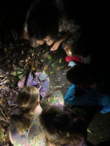 Kinder erkunden La Tigra bei einem Nachtspaziergang – Costa Rica Familienreise