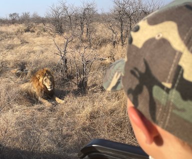 Ein Junge beobachtet einen ruhig sitzenden Löwen in der Savanne – Südafrika Reise mit Kindern