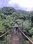 Person auf Hängebrücke im Nebelwald von Boquete - Panama Family & Teens - Panama mit Kindern & Jugendlichen