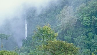 Wasserfall umgeben von dichtem Grün im Nebelwald von Monteverde – Costa Rica Reise mit Kindern
