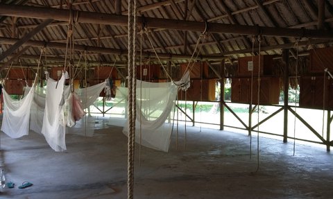 In einem offenen Raum hängen mehrere Hängematten aus weißem Stoff, umgeben von Holzregalen und einem natürlichen Licht.