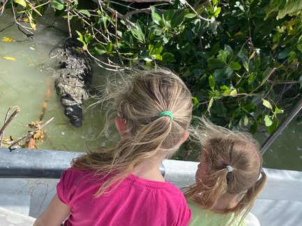 Kinder an Bord eines Bootes schauen auf ein Krokodil im Wasser des Rio Lagartos Naturreservats – Mexiko mit Kindern