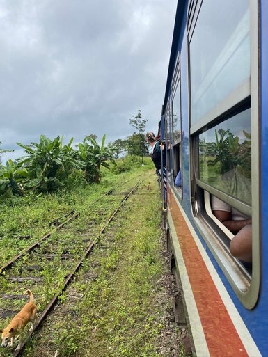 Frau blickt aus dem Fenster eines blauen Zuges während der Fahrt – Sri Lanka mit Kindern