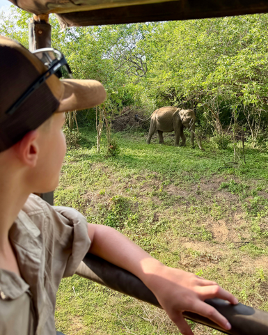 Ein Junge beobachtet fasziniert einen Elefanten, der durch die grüne Savanne wandert, während er auf einem Safari-Fahrzeug sitzt.