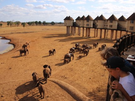 Eine Gruppe von Elefanten wandert durch die trockene Savanne, während Kinder von einer Aussichtsplattform zuschauen.
