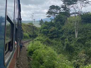 Zug fährt durch das grüne Hochland zwischen Kandy und Watawala – Sri Lanka Reise mit Kindern