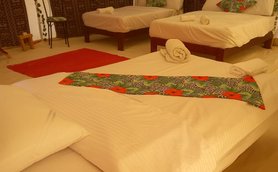 Sharazad Camp in der Weißen Wüste Tropical Zimmer – Ägypten Reise mit Kindern