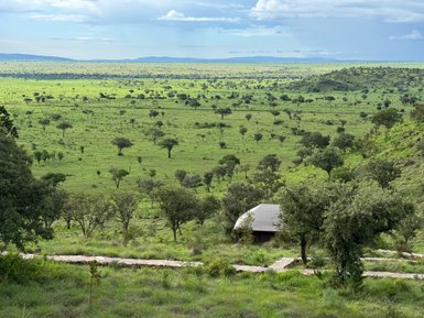 Üppig grüne Ikoma Hills Landschaft im Grumeti-Gebiet – Tansania Reise mit Kindern