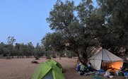 Zwei Zelte stehen im Sand der Sahara, umgeben von Bäumen und Sträuchern, während Menschen am Boden sitzen und sich unterhalten.