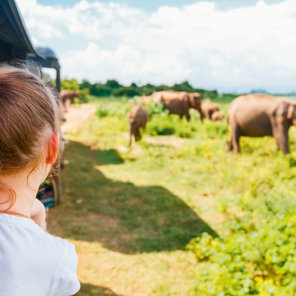 Ein Mädchen erlebt die Safari im Udawalawe Nationalpark aus dem offenen Jeep hautnah – Sri Lanka Reise mit Kindern