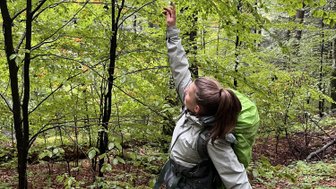 Eine Wandererin zeigt mit dem Finger auf einen Baumzweig, umgeben von üppigem, grünem Laub im Wald.