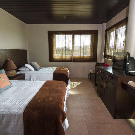 Ein helles Hotelzimmer mit zwei Betten, Holzdetails und großen Fenstern, die Tageslicht hereinlassen.